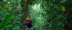 Canopy Boquete