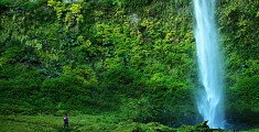 Natura della Patagonia - Viaggio in Cile Natura della Patagonia - Viaggio in Cile