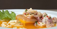 Ceviche Pescado Gastronomia Ceviche Pescado Gastronomia