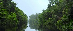 Canali Tortuguero