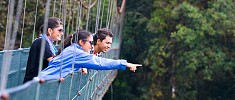 Ponti Sospesi