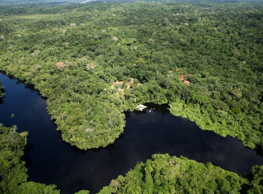 Cristalino Jungle Lodge - Amazzonia