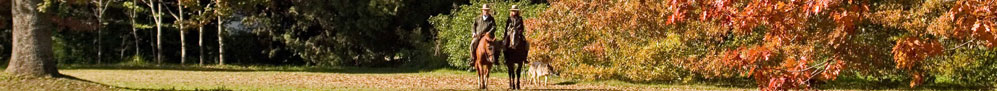 Argentina > Incanevole Estancia - &copy; archivio Ruta 40 -