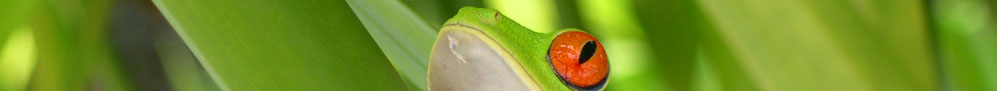 Viaggi Costa Rica - Nessun Ingrediente Artificiale - &copy; Ruta 40 -