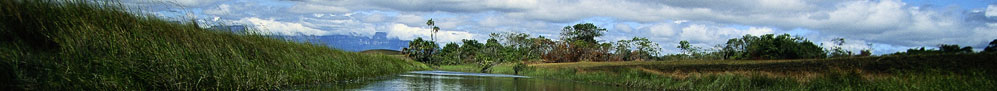 Viaggi Venezuela > Navigazione Canaima - &copy; archivio Ruta 40 -