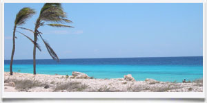 Bonaire Spiaggia - &copy; Ruta 40 -
