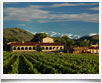 Wine Tasting - � archivio Ruta 40 -