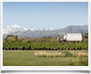 Hotel Entre Cielos > Mendoza - &copy; archivio Ruta 40 -