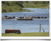 Bambu River Lodge > Corrientes - © archivio Ruta 40 - Bambu River Lodge > Corrientes - © archivio Ruta 40 -