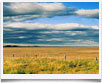 Patagonia - � Leo Regnier -