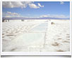 Argentina Nord Salinas - © archivio Ruta 40 - Argentina Nord Salinas - © archivio Ruta 40 -