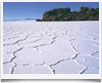 Bolivia > Salar de Uyuni - � archivio Ruta 40 -
