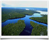 Brasile > Amazzonia - © archivio Ruta 40 - Brasile > Amazzonia - © archivio Ruta 40 -