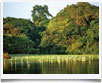 Brasile > Amazzonia - © Embratur - Brasile > Amazzonia - © Embratur -