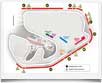 Mappa Circuito e Posizionamento posti Interlagos - San Paolo- © archivio Ruta40 - Mappa Circuito e Posizionamento posti Interlagos - San Paolo- © archivio Ruta40 -