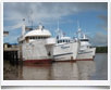 Underseahunter > Isla del Coco - Costarica - &copy; archivio Ruta40 -