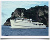 Underseahunter Sea Hunter > Isla del Coco - Costarica - &copy; archivio Ruta40 -