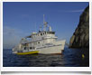 Underseahunter > Isla del Coco - Costarica - &copy; archivio Ruta40 -