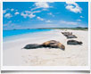 Ecuador Spiaggia Galapagos - © archivio Ruta 40 - Ecuador Spiaggia Galapagos - © archivio Ruta 40 -