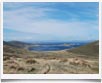 Isole Falklands > Saunders Island - � Ruta 40 -