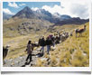 Per� Camino Inca - � archivio Ruta 40 -