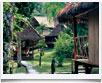 Inkaterra Reserva Amazonica > Amazzonia - Per� - � archivio Ruta 40 -