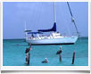 Venezuela > Los Roques Crociera Barca Vela - � archivio Ruta 40 -