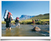 Trekking Roraima > Venezuela - &copy; archivio Ruta40 -