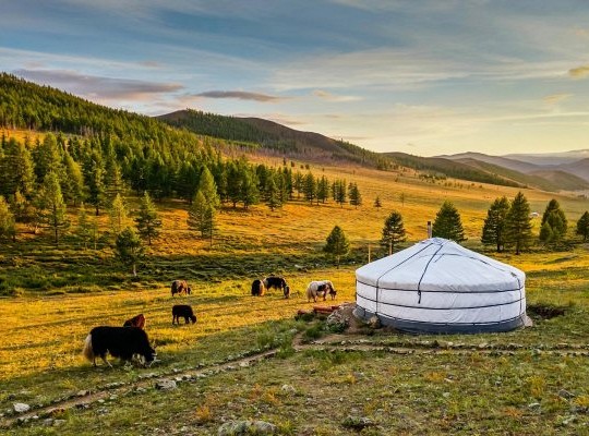 Mongolia: Nadaam 5 - 20 luglio