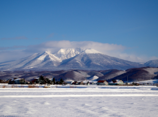 Tour: Da Honshu a Hokkaido Tour: Da Honshu a Hokkaido