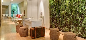 Eco Hotel Casa Calma > Buenos Aires Eco Hotel Casa Calma > Buenos Aires